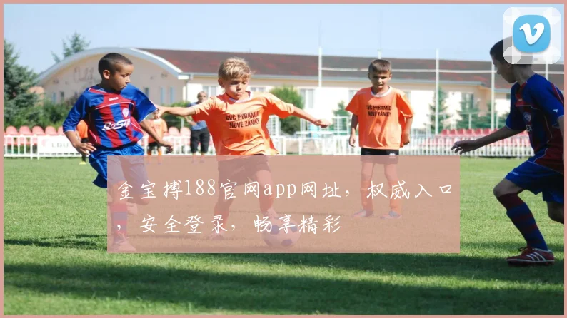 金宝搏188官网app网址，权威入口，安全登录，畅享精彩