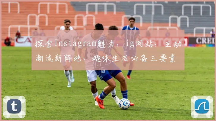 探索Instagram魅力，ig网站，互动潮流新阵地，趣味生活必备三要素，短视频盛宴。