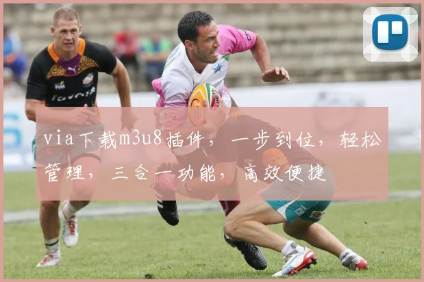 via下载m3u8插件，一步到位，轻松管理，三合一功能，高效便捷