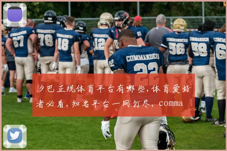沙巴正规体育平台有哪些,体育爱好者必看,知名平台一网打尽, commas,选哪家