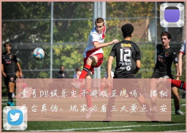 壹号pg娱乐电子游戏正规吗，揭秘平台真伪，玩家必看三大要点，安全可靠吗