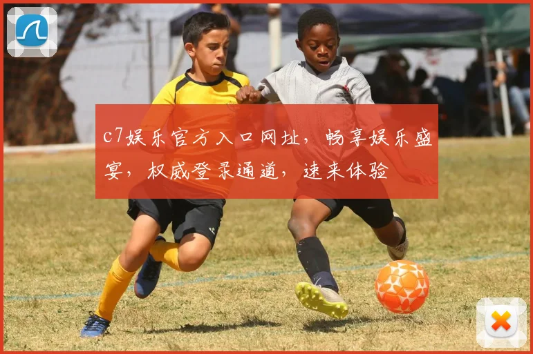 c7娱乐官方入口网址，畅享娱乐盛宴，权威登录通道，速来体验